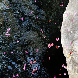 爸爸和女儿玩屁股视频大全
